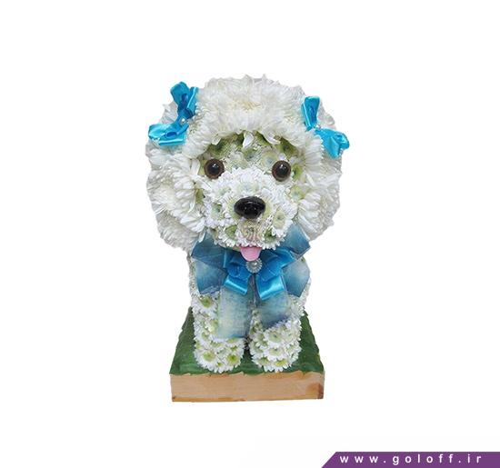 سفارش آنلاین گل - گل تولد نوزاد سگ پشمالو - Flower Toy | گل آف